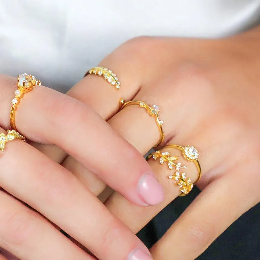 Eva Ring