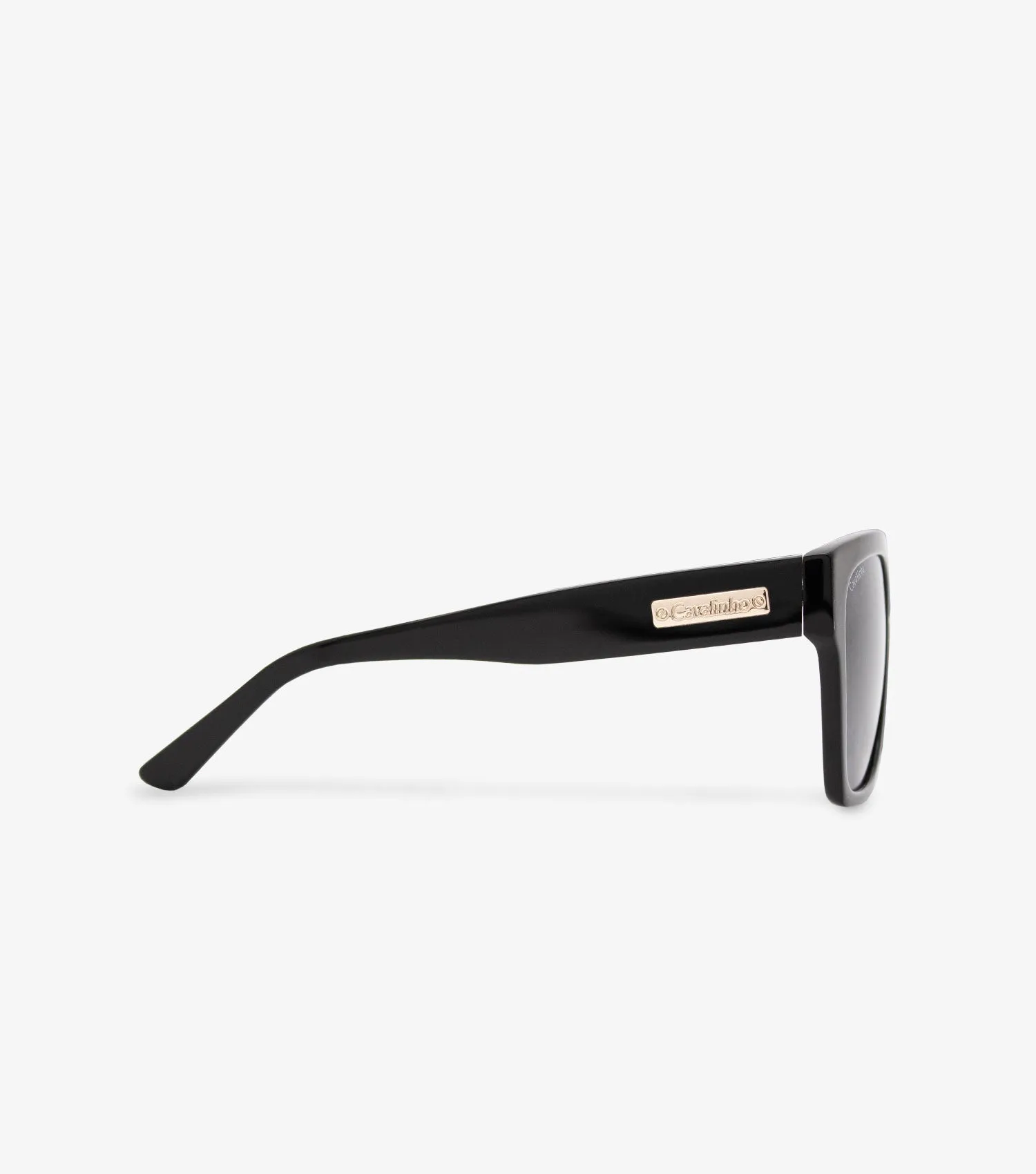Sunglasses Timeless