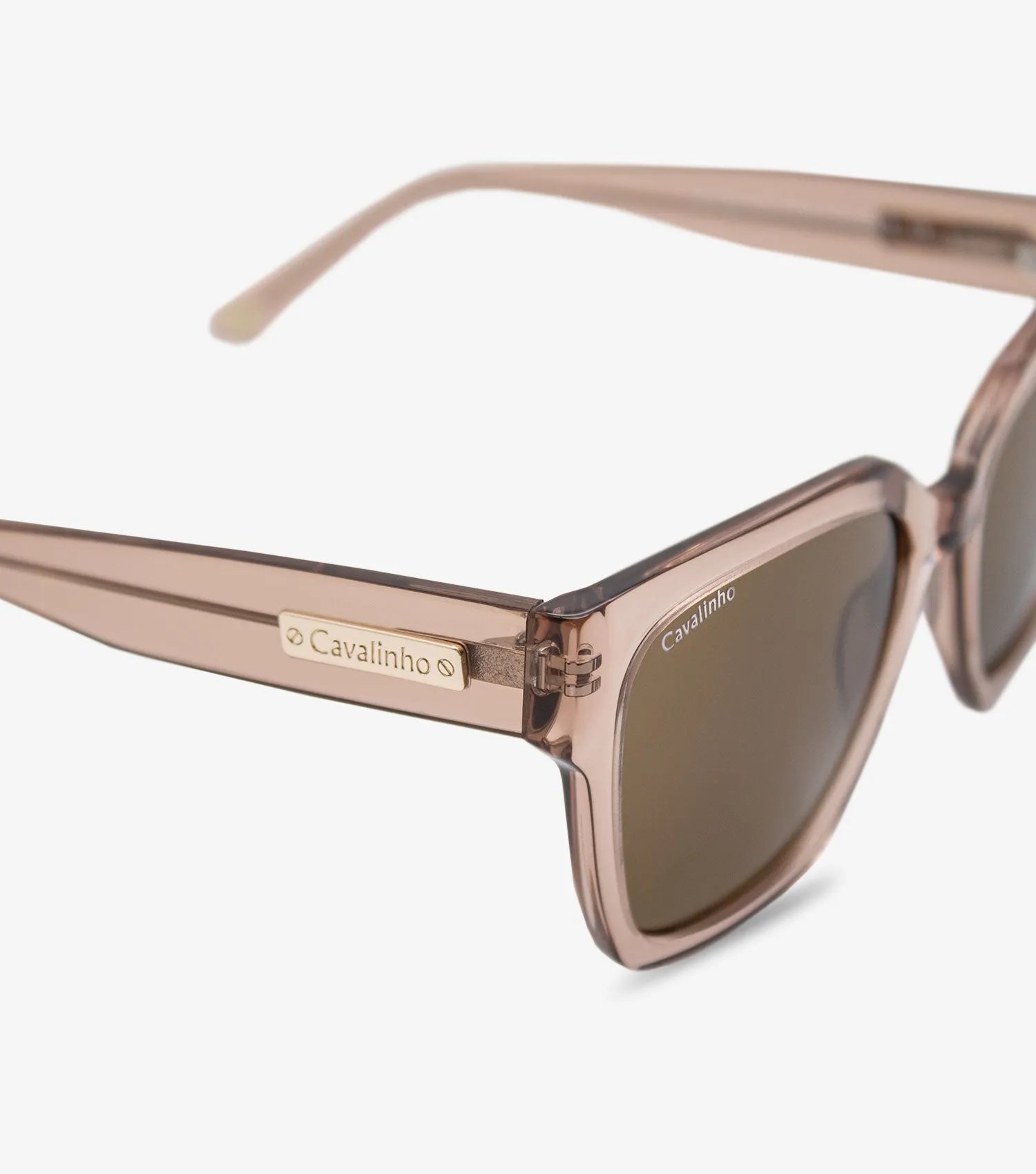 Sunglasses Timeless